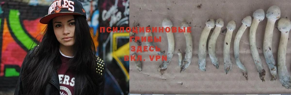 бошки Богородицк