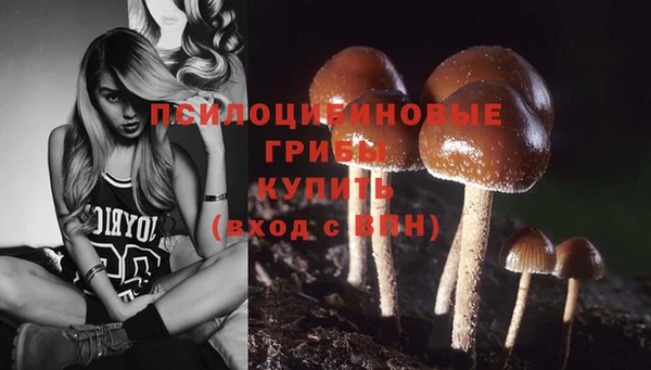 мескалин Богородск