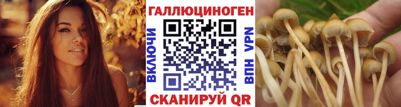 shop состав  Тобольск  Галлюциногенные грибы Magic Shrooms 