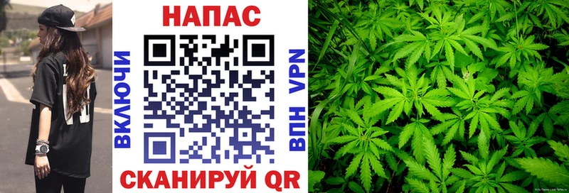 где продают   Тобольск  Бошки марихуана OG Kush 